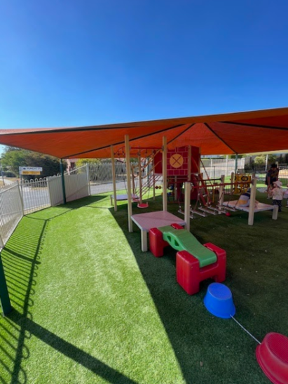 Wombats Playground